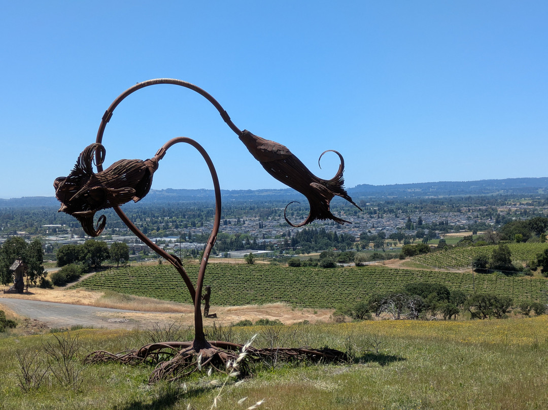 Paradise Ridge Winery-圣罗莎必去景点