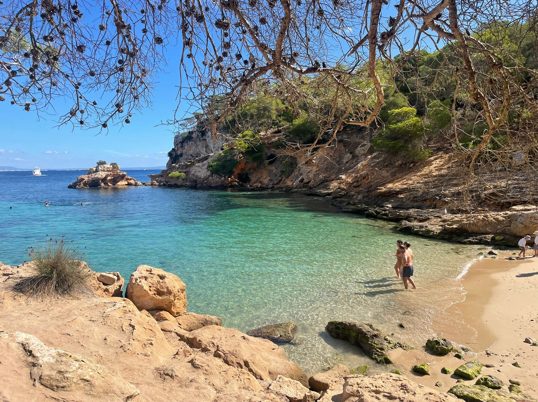 Playa Portals Vells-卡尔维亚必去景点