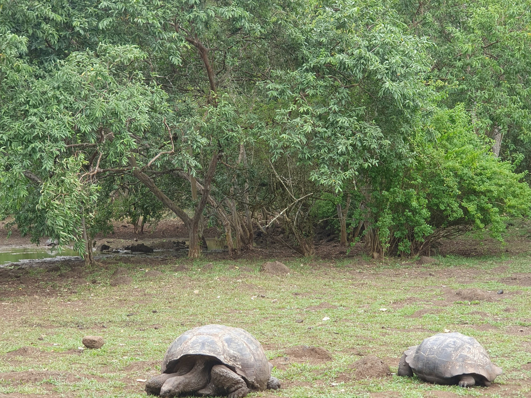 Rancho Primicias-圣克鲁斯必去景点