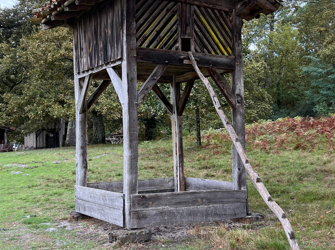 Écomusée De Marquèze-Sabres必去景点