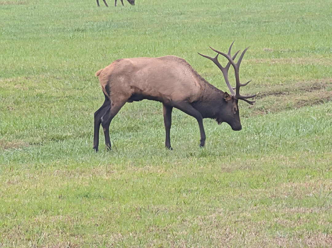 Oconaluftee Visitor Center-大雾山国家公园必去景点
