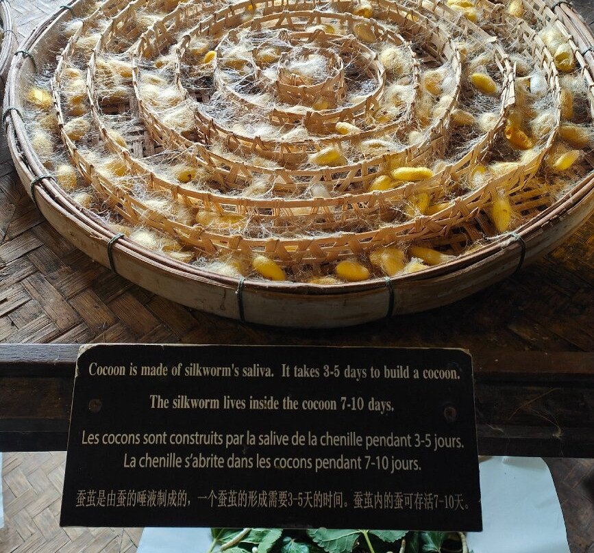 Thai Silk Village-山甘烹必去景点