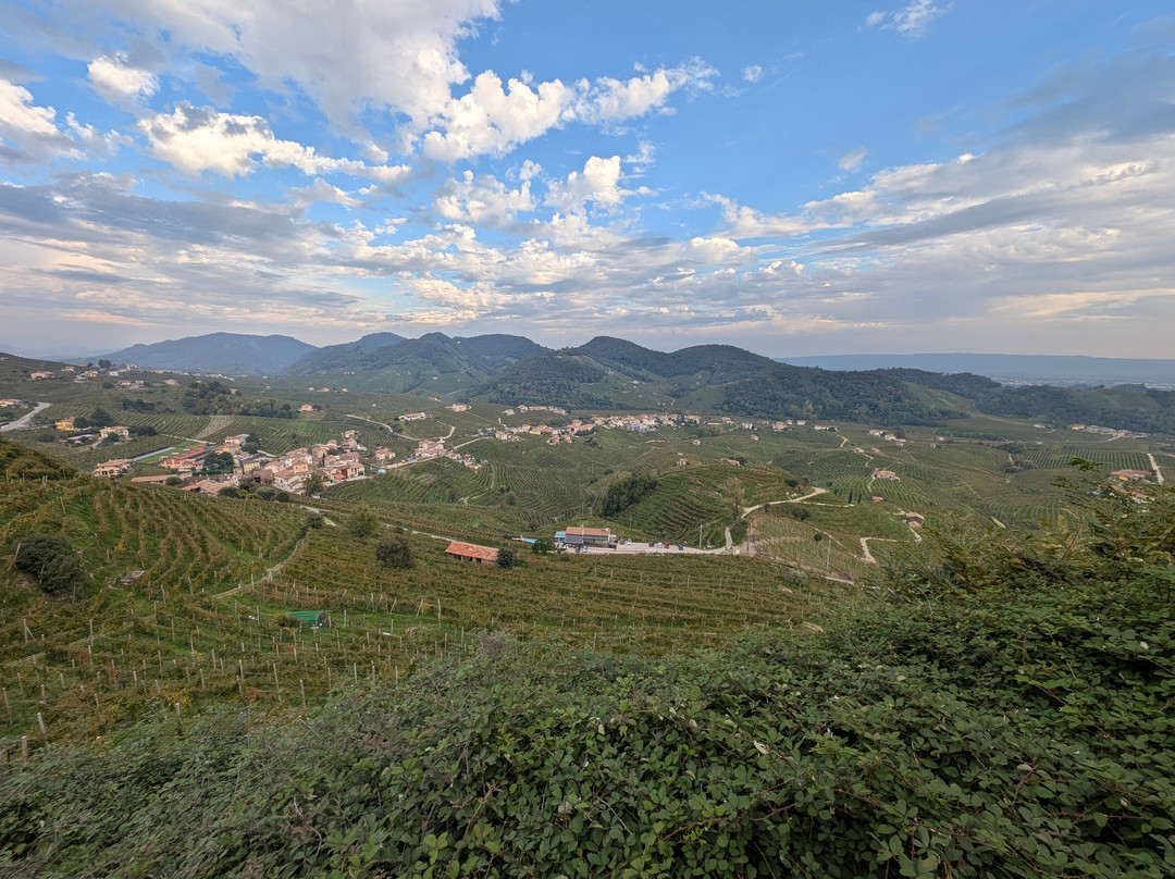 Col del lupo - Produzione e Degustazione Valdobbiadene Prosecco DOCG-Vidor必去景点