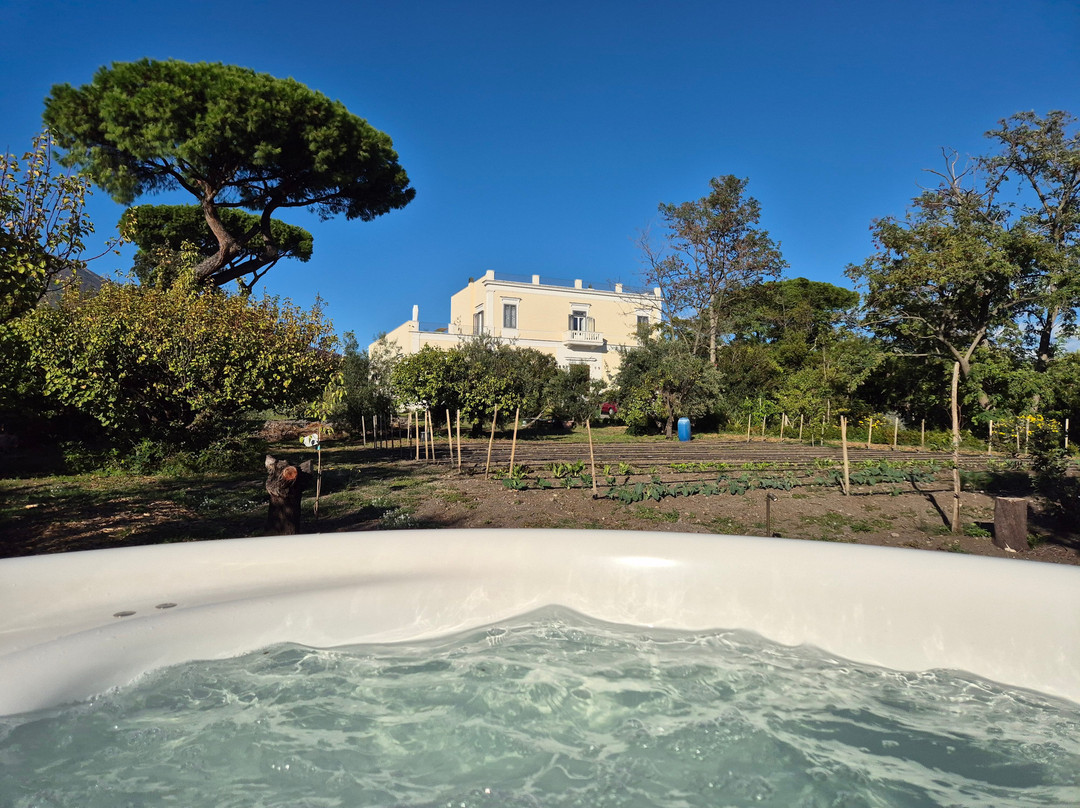 Villa De Cillis Carafa主图