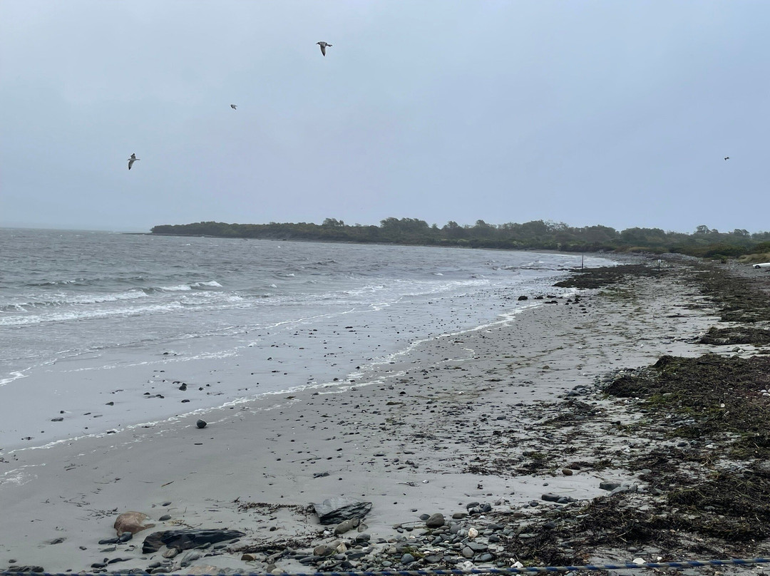 Second Beach-米德尔敦必去景点