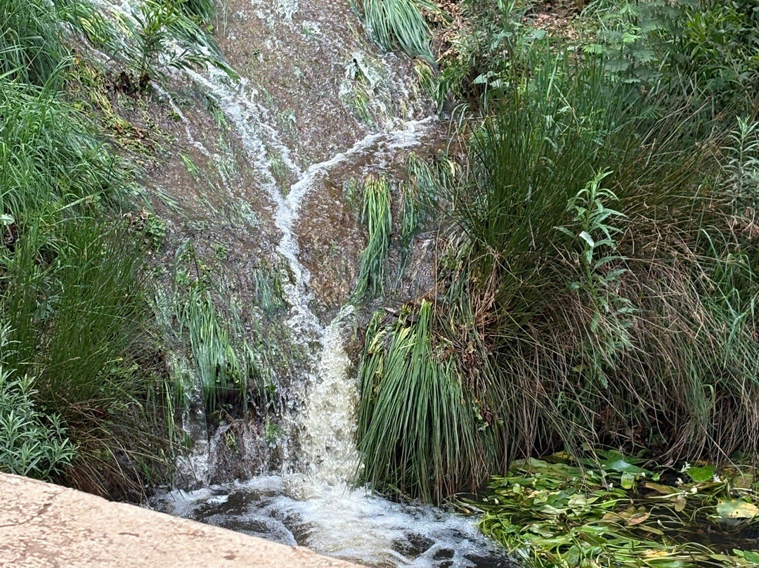 Oak Valley Estate-Elgin必去景点