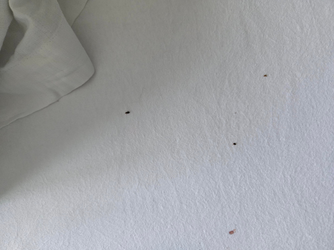 b-smart hotel Schönenwerd主图