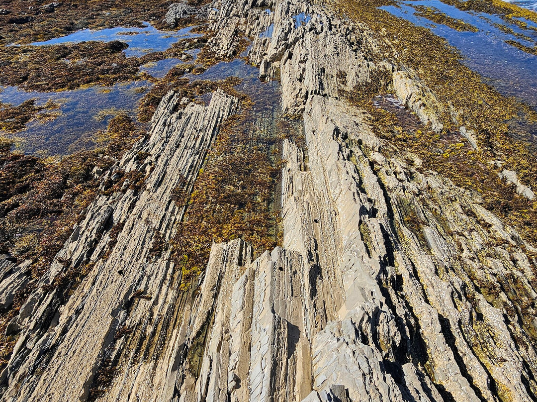 Green Point-Cow Head必去景点