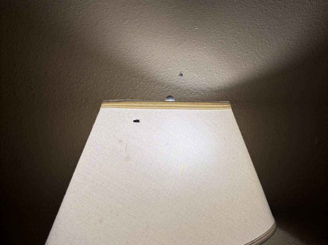 AmericInn Lodge & Suites Of Blue Earth主图