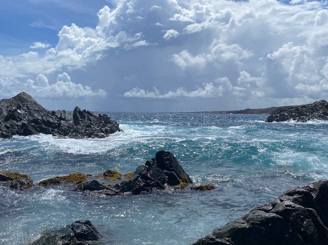 Rancho Loco-Santa Cruz必去景点