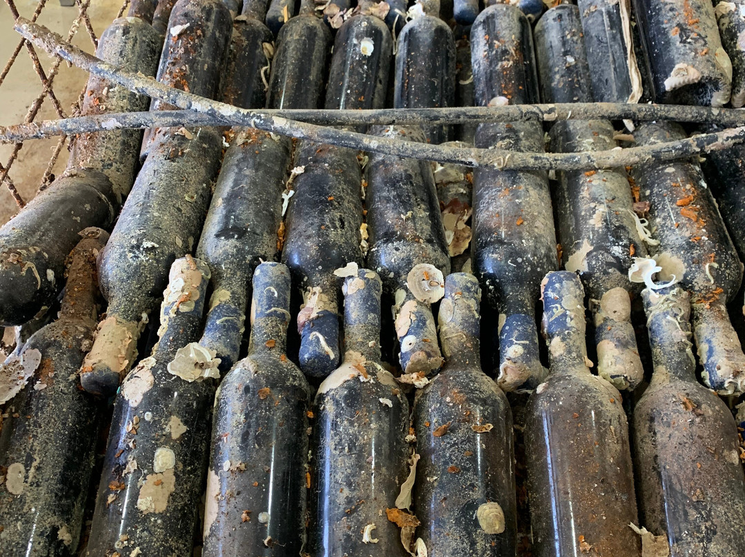 Bodegas Carchelo-Jumilla必去景点