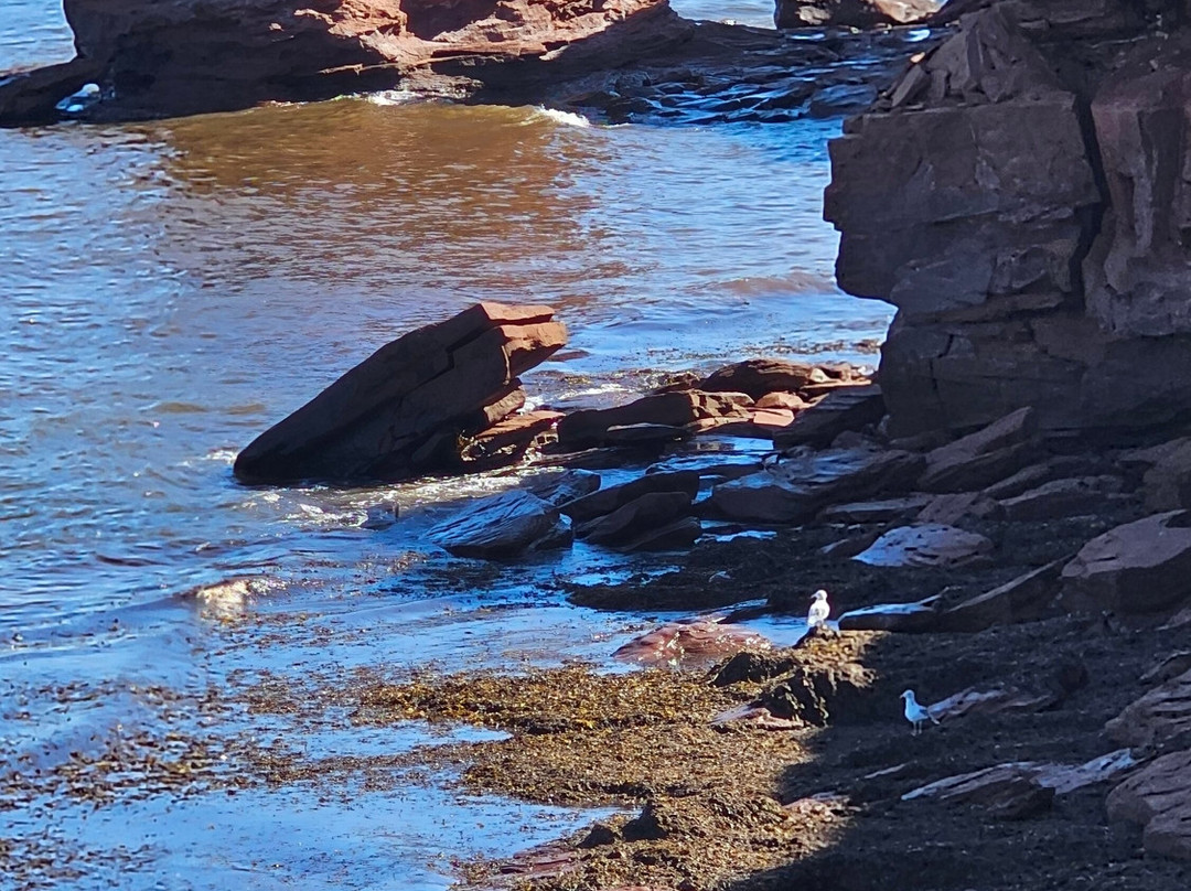 Cavendish Cliffs-卡文迪西必去景点