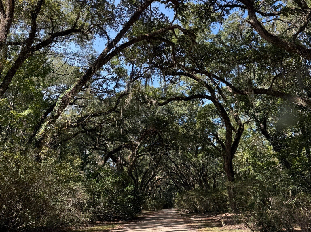 Afton Villa Gardens-Saint Francisville必去景点