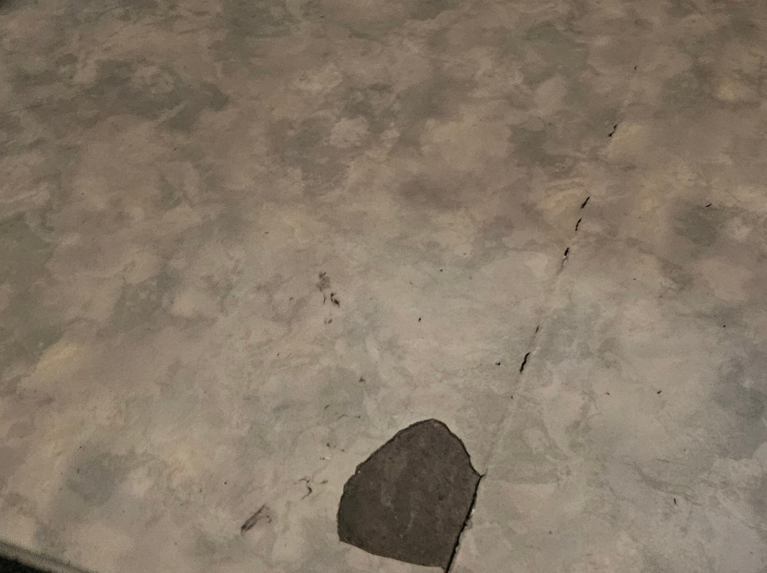 Pavilion Motel & Conference Centre主图