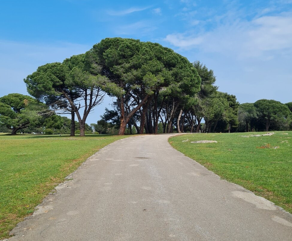 Brijuni National Park-Brijuni必去景点