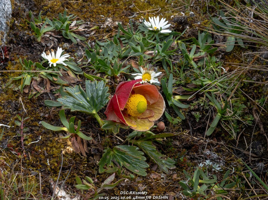 Eco Ice Peru-瓦拉斯必去景点