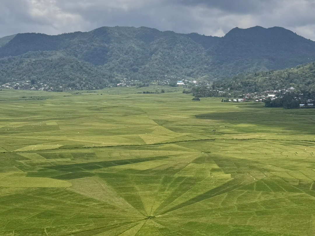 Lingko Flores Travel-Labuan Bajo必去景点