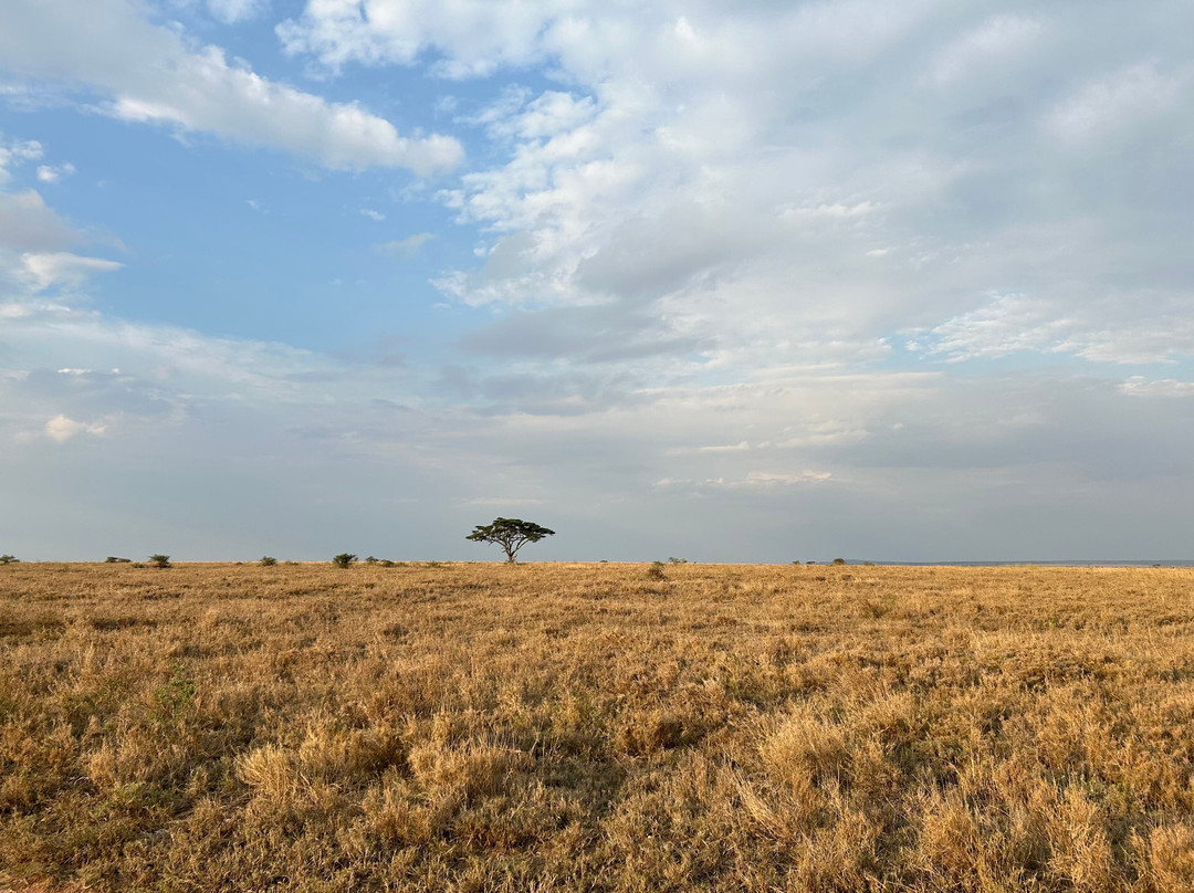 Golden Dream Safaris-阿鲁沙必去景点