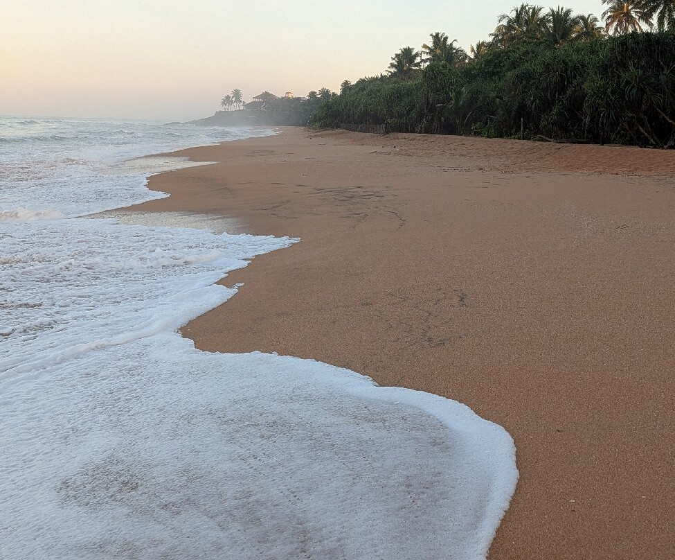 Risi Travels-加勒必去景点