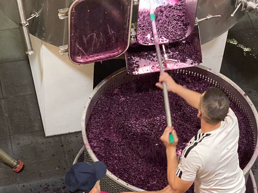 Chateau Mouton Rothschild-波亚克必去景点