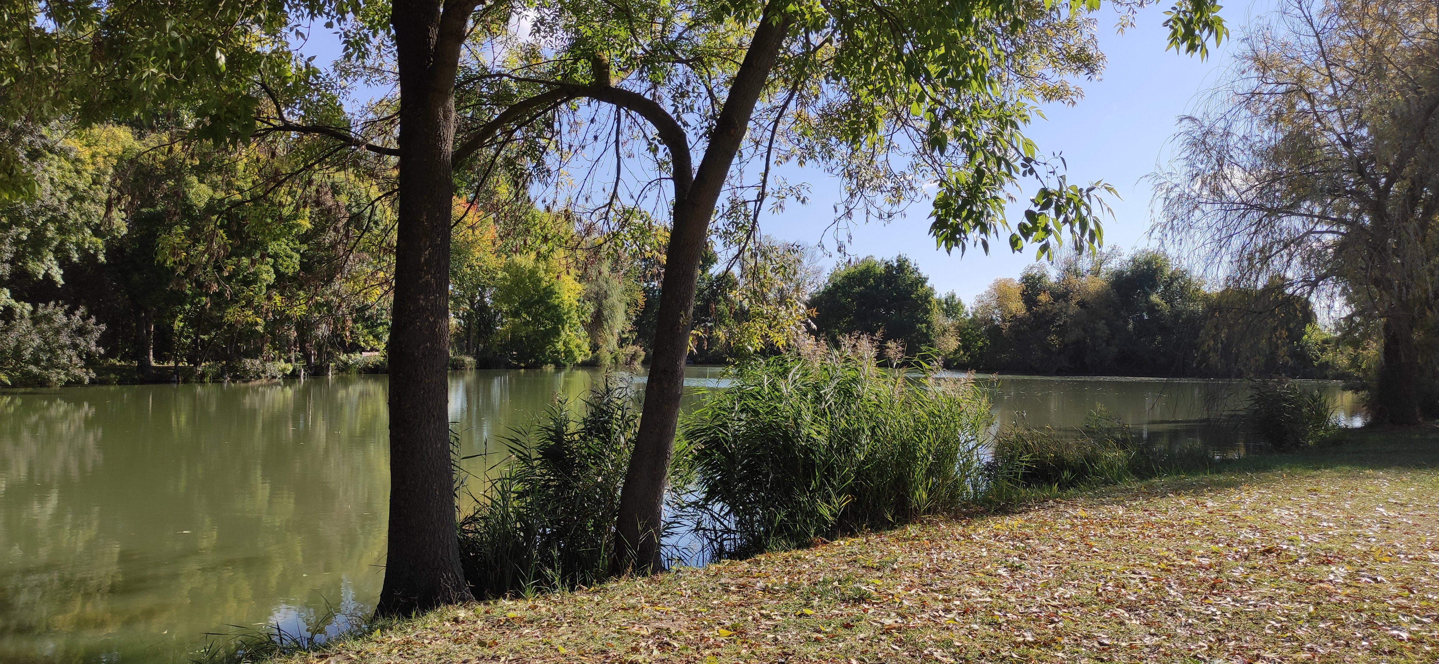 Thermal Hotel Vesta-官方