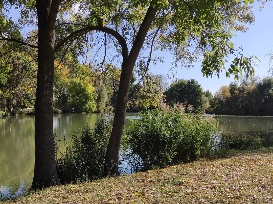 Thermal Hotel Vesta主图