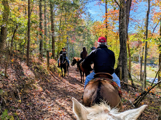 Cowgirl Up Stables-Cherry Log必去景点