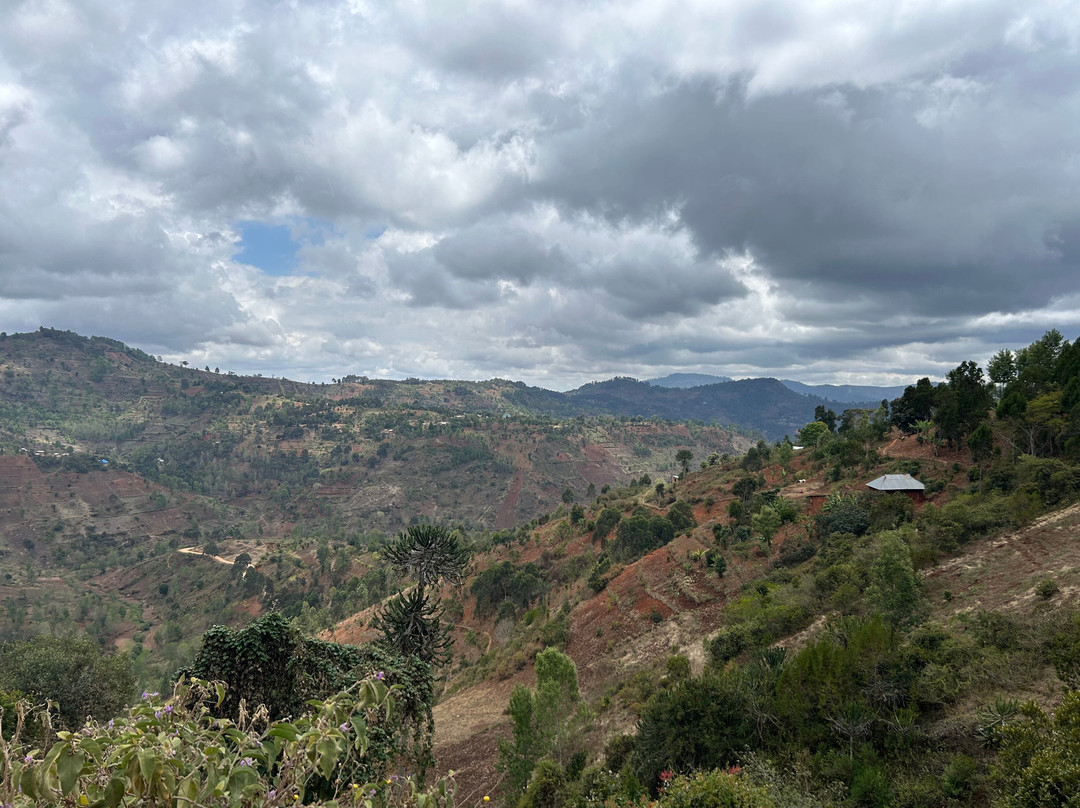 Usambara Eco Tours-卢绍托必去景点