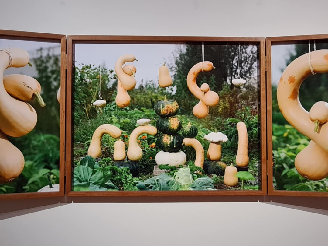 Het Noordbrabants Museum-斯海尔托亨博斯必去景点