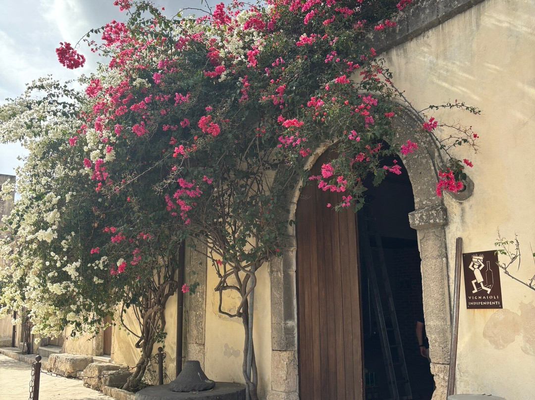 Azienda Agricola Pupillo-锡拉库扎必去景点