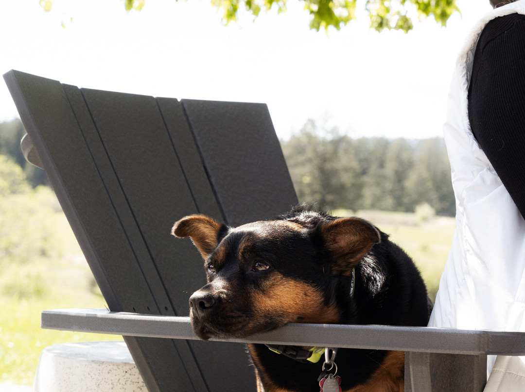 San Juan Vineyard-星期五港湾必去景点