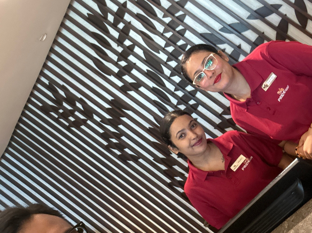 普莱德那格浦尔酒店主图