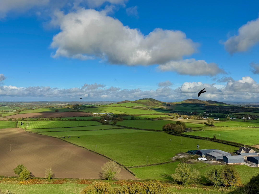 波特劳希传统酒店主图
