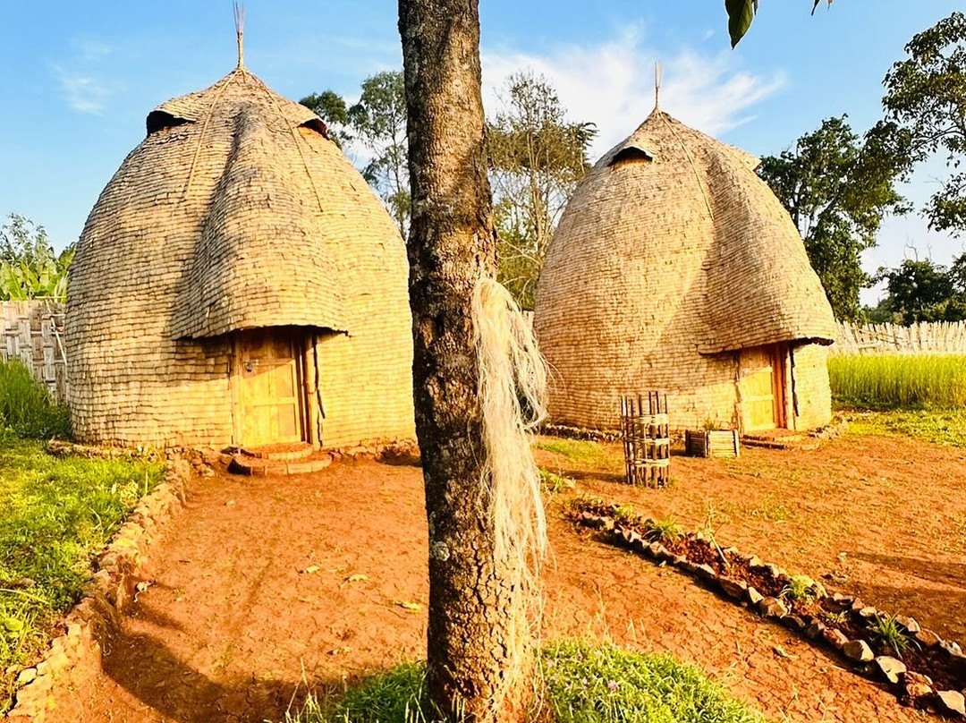 Liyu Ethiopia Tours-亚的斯亚贝巴必去景点