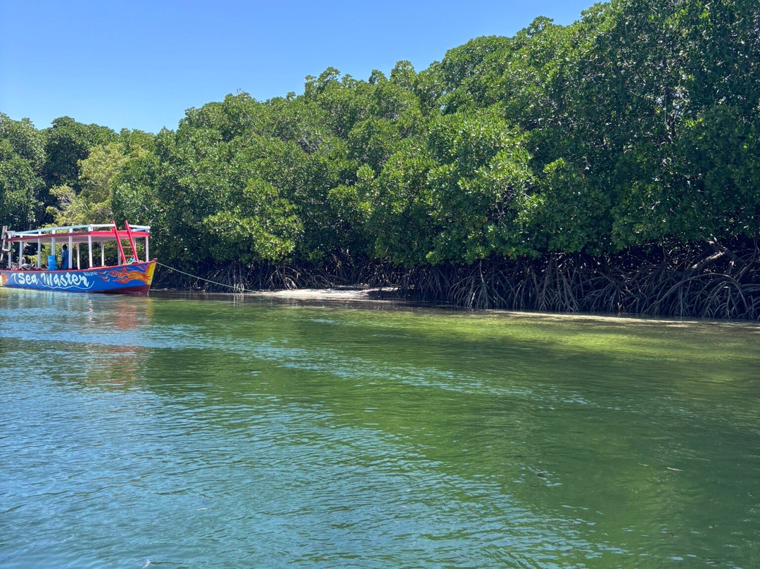 SavanaBeat - Safari & Tour in Kenya-瓦塔木必去景点