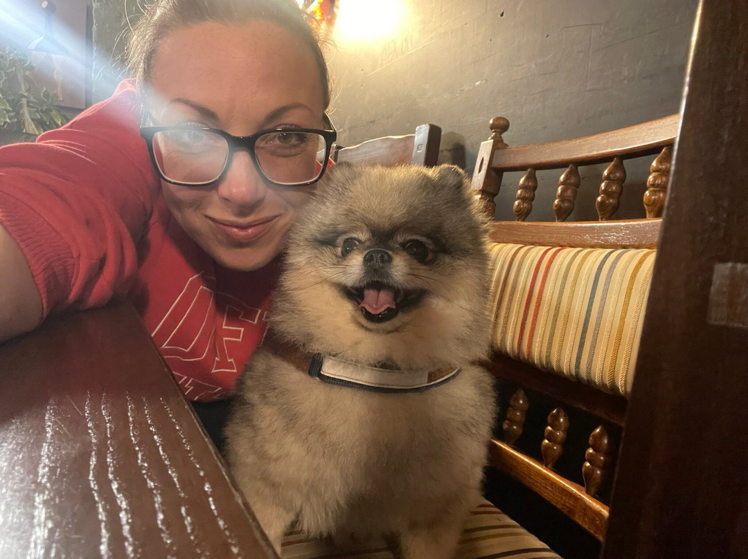 Playopolis Board Game Cafe-罗契斯特必去景点