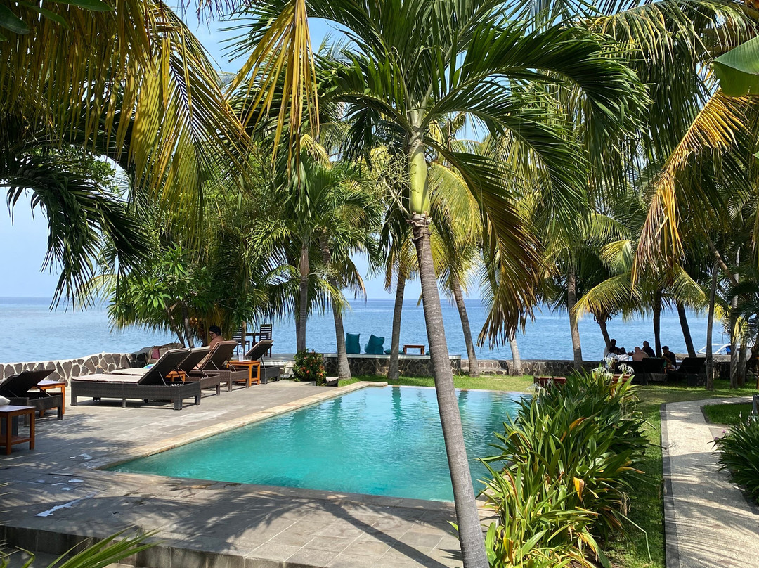 1000 Dream Bungalow主图