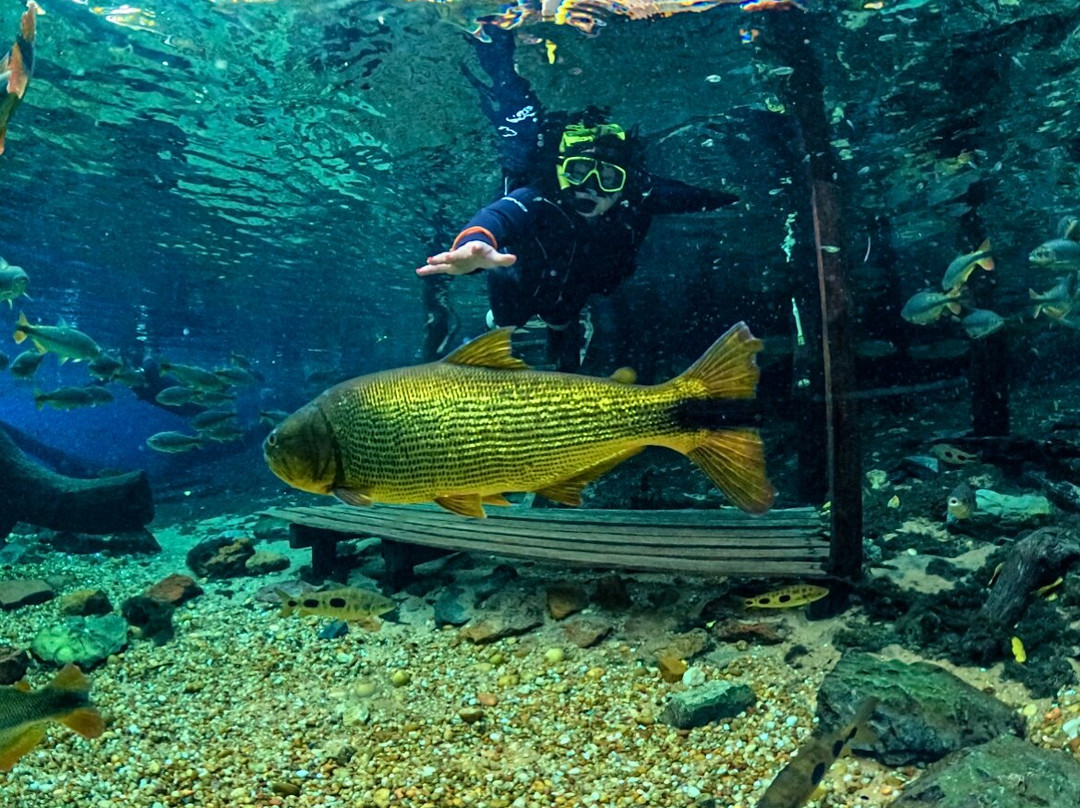 Recanto Ecologico Rio da Prata-博尼图必去景点