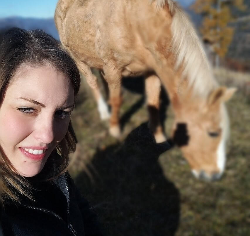 Albergo Ristorante Forte Cherle主图