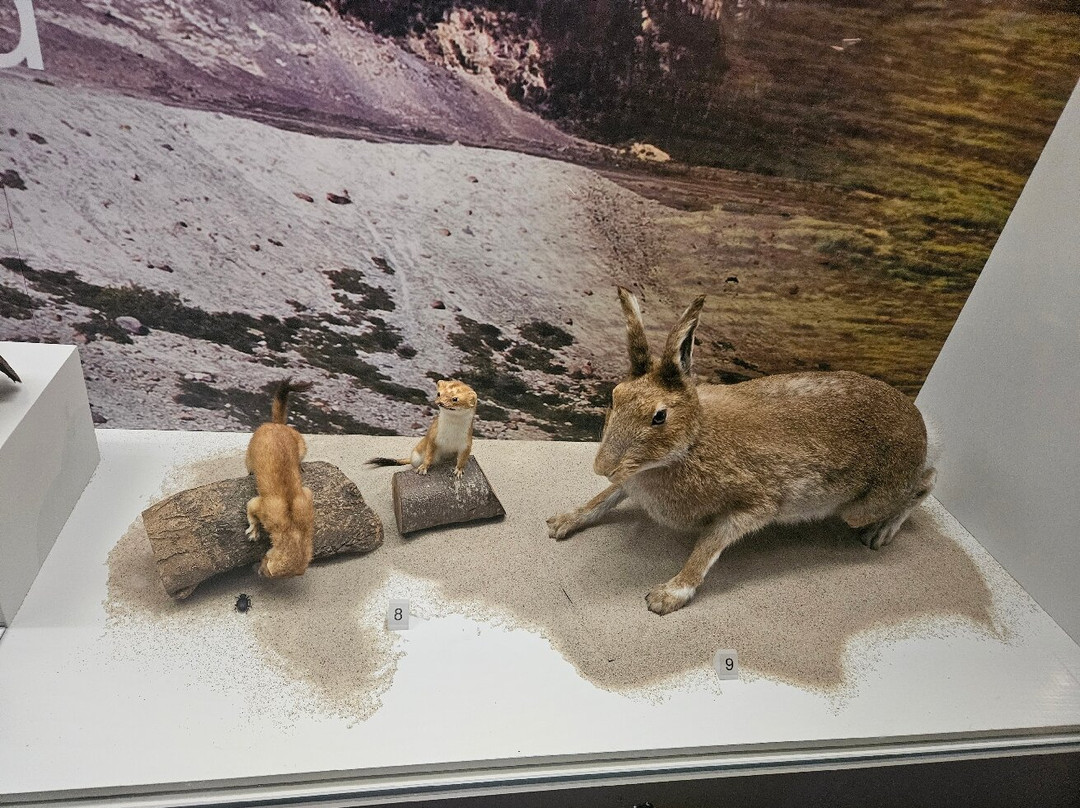 阿尔斯特博物馆-贝尔法斯特必去景点