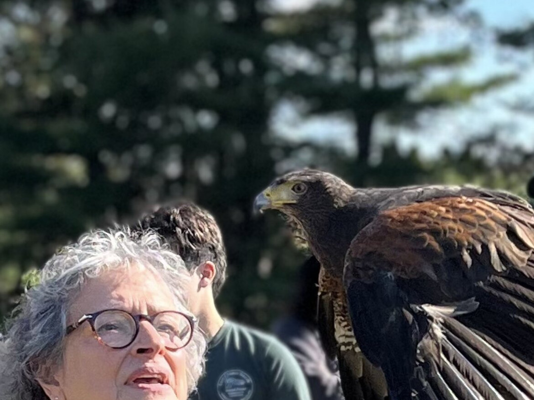 Masters Of The Skies-霍利必去景点
