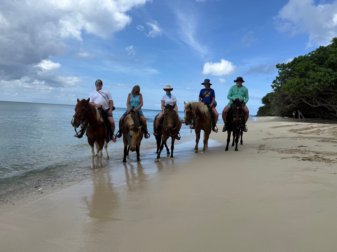 Cruzan Cowgirls-Frederiksted必去景点