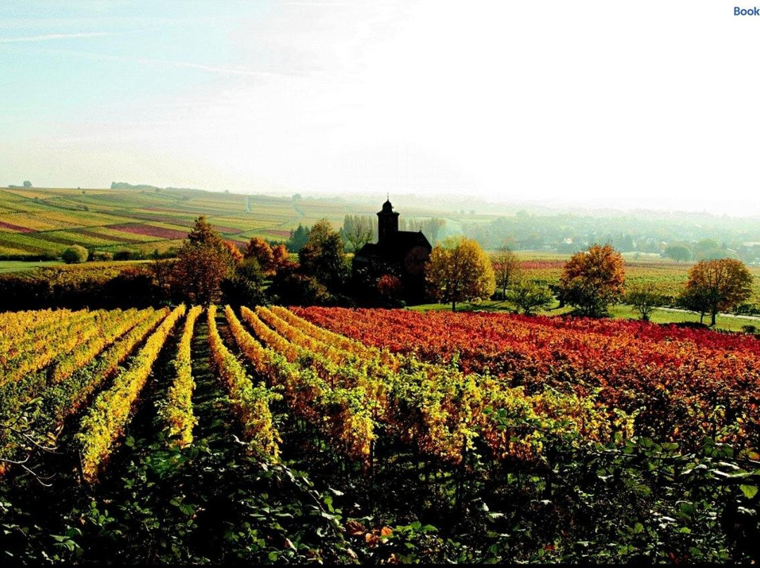 Haus am Kastanienwald主图