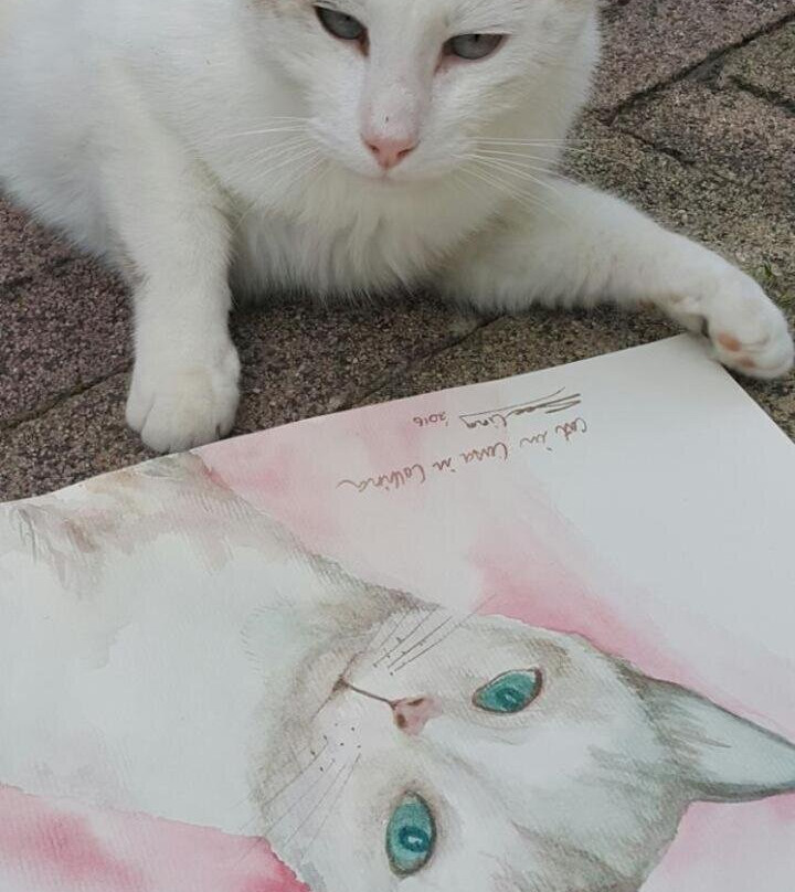 La Casa in Collina主图