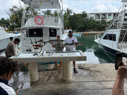 AAA Charters & Adventures-阿范特拉斯港必去景点