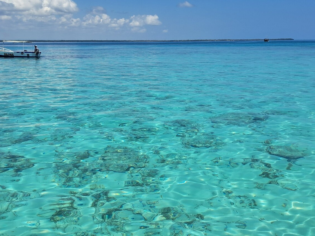 Wasini Trips-Wasini Island必去景点