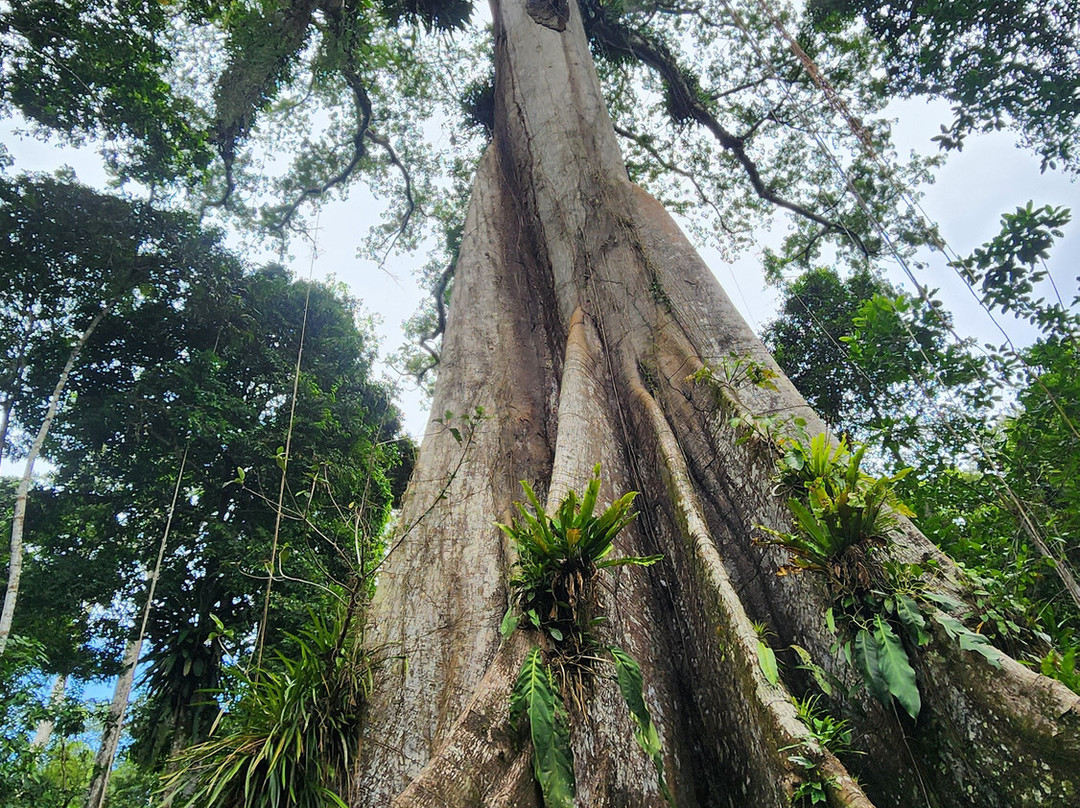 Amazonian Trails-伊基托斯必去景点
