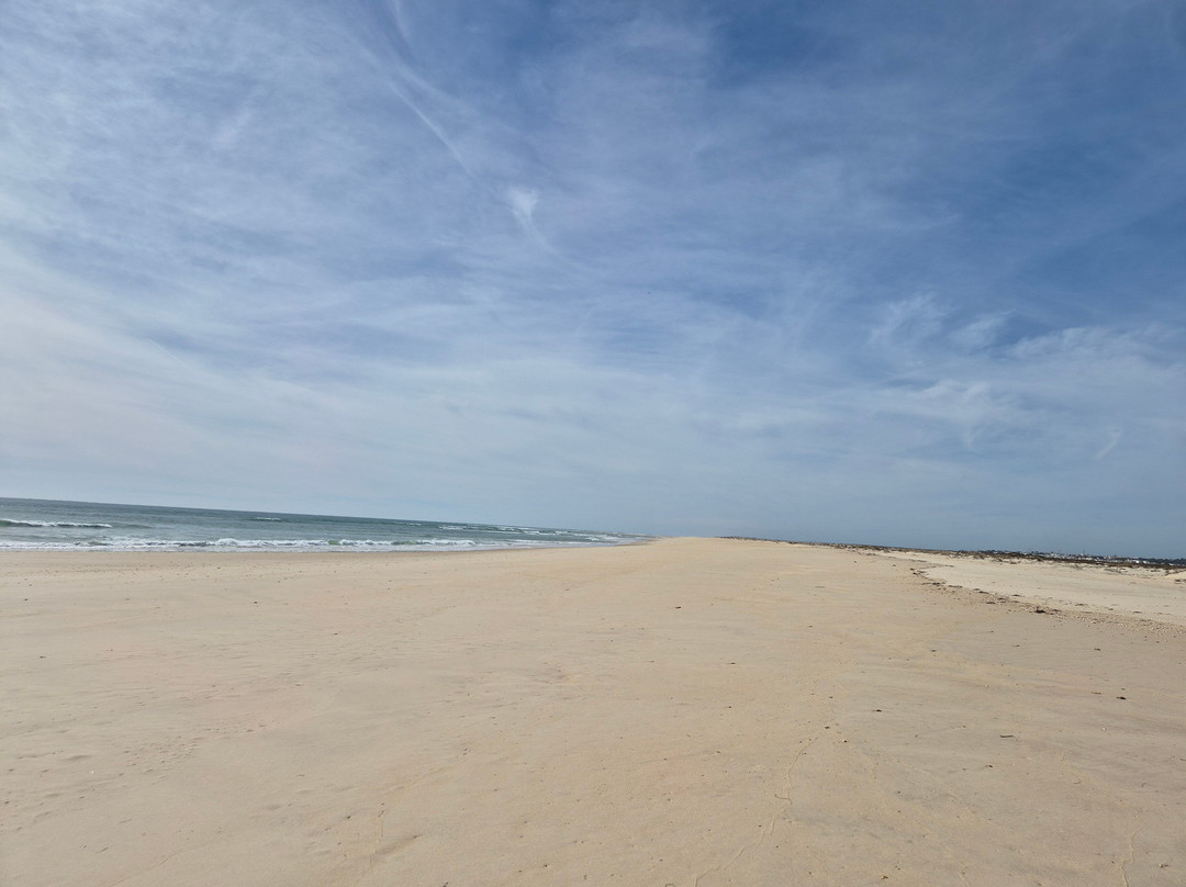 Tavira Island-塔维拉必去景点