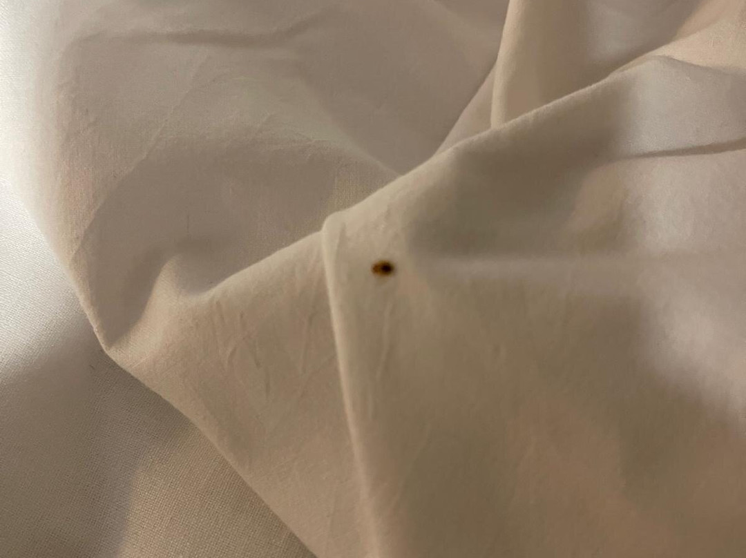 Travelodge Camberley主图