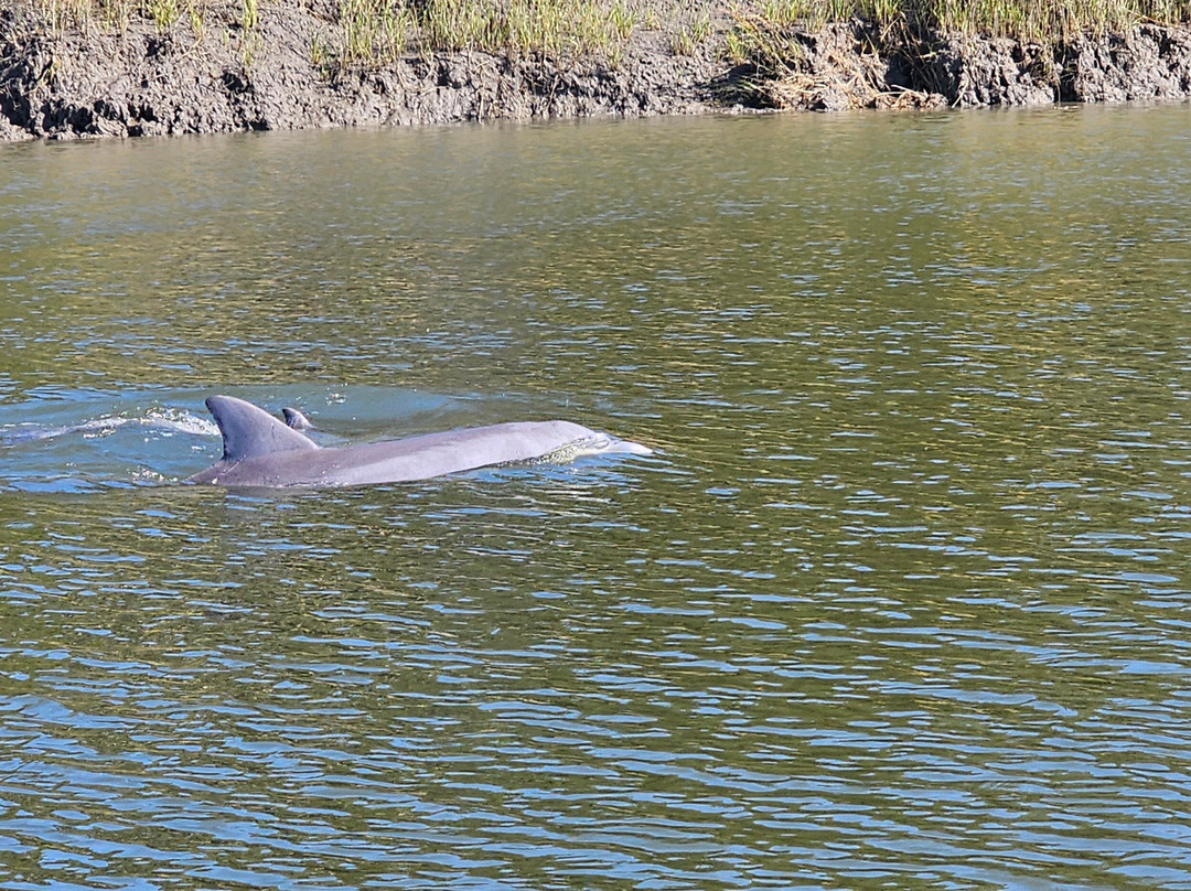 Edisto Watersports and Tackle-埃迪斯托艾兰必去景点